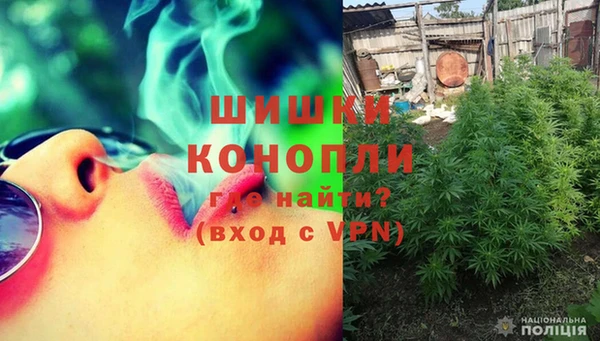PSILOCYBIN Сосновка