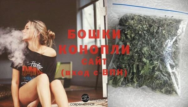 крисы Слюдянка
